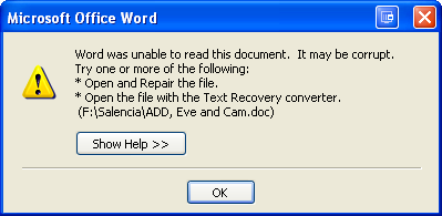 File Error Corrupted File