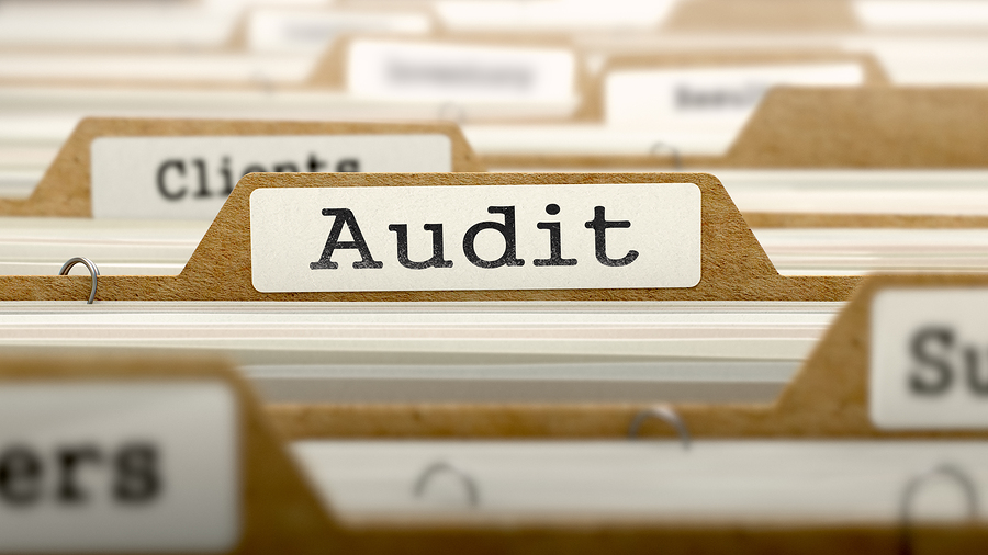 perform self audits of records