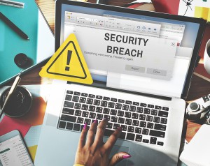 business identity theft and data breaches guide to plan prevent protect