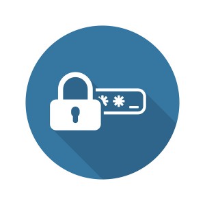 Use secure passwords to protect your online information