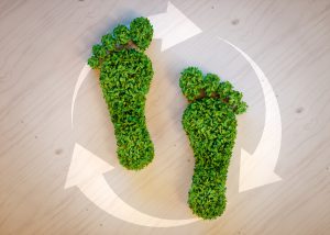 document scanning electronic document storage system sustainability green reduce carbon footprint