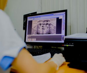 Using Efficient EHR System Templates