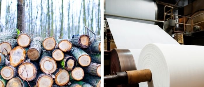 Record Nations Why Paper Consumption is Increasing