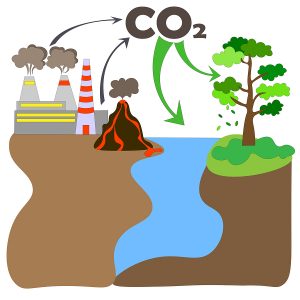 Carbon offset compensation scheme to reduce emissions by volcanoes, CO2 greenhouse gas plants.vector. carbon absorption by trees, photosynthesis and dissolution in water. biochemical system slogan CO2