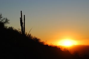 Document Management Services Phoenix, AZ