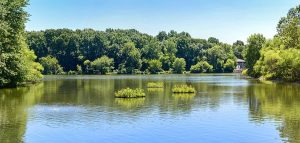 Document Scanning and Storage Services in Columbia, MD