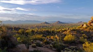 Document Scanning Service Scottsdale, AZ