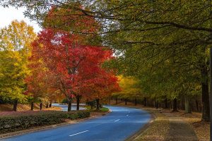 Document Storage Service Alpharetta, GA