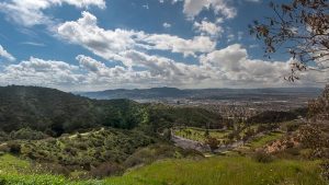 Document Scanning and Records Storage Services in Burbank, California