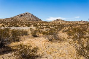 Document & Hard Drive Destruction in Apple Valley, CA