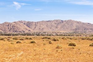 Document Management in Apple Valley, CA