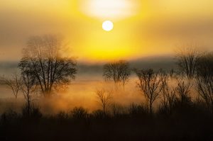 Document Storage Services in Jackson, MI