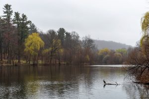 Document Management in Elmsford, NY