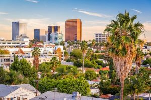 Document Management Services in Beverly Hills, CA